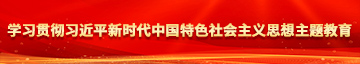 被大鸡吧草逼视频学习贯彻习近平新时代中国特色社会主义思想主题教育