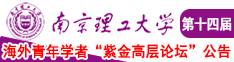 插逼视频流水啊啊啊啊南京理工大学第十四届海外青年学者紫金论坛诚邀海内外英才！